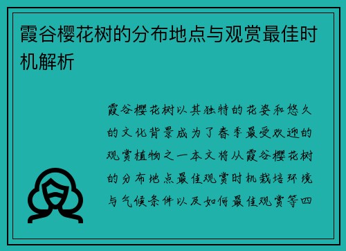 霞谷樱花树的分布地点与观赏最佳时机解析